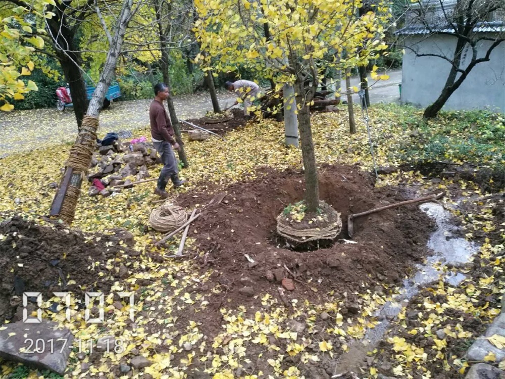 乡村建筑设计，予舍予筑，百年老宅改造设计，安生斋居，民宿兼自宅，项目投稿