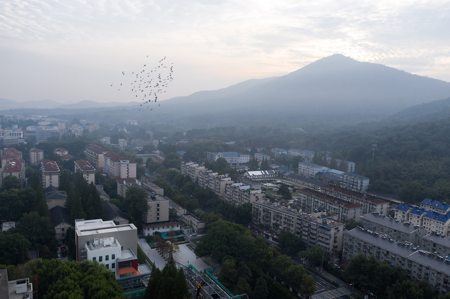 杜兹设计,图书馆设计,校园图书馆设计,大学图书馆设计,南京图书馆设计,南京校园图书馆,南师大图书馆,南京师范大学图书馆,项目投稿