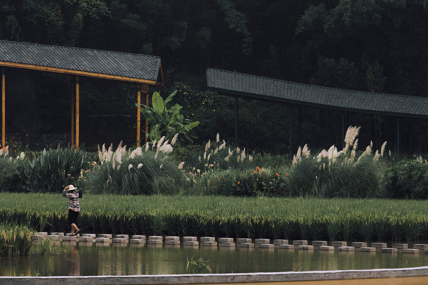 竹枝书院,宜宾竹枝书院,竹枝书院设计公司,建筑设计,宜宾建筑设计,竹枝书院设计,小隐建筑,小隐建筑事务所