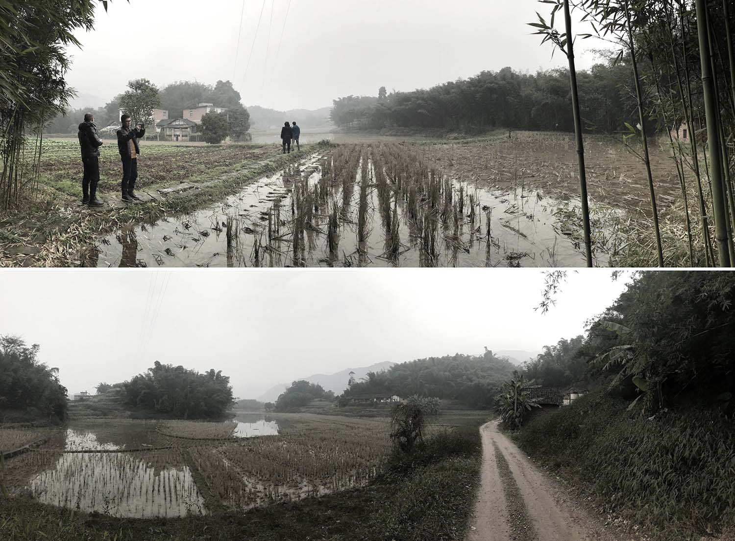 竹枝书院,宜宾竹枝书院,竹枝书院设计公司,建筑设计,宜宾建筑设计,竹枝书院设计,小隐建筑,小隐建筑事务所