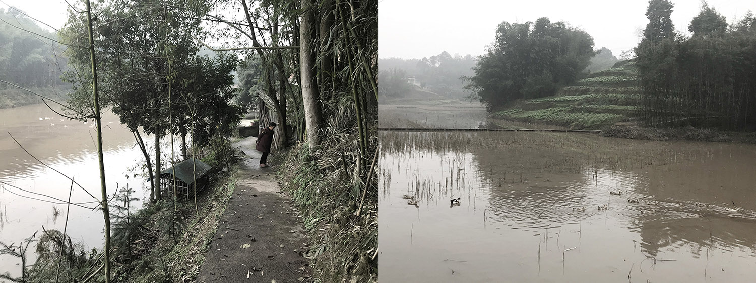 竹枝书院,宜宾竹枝书院,竹枝书院设计公司,建筑设计,宜宾建筑设计,竹枝书院设计,小隐建筑,小隐建筑事务所