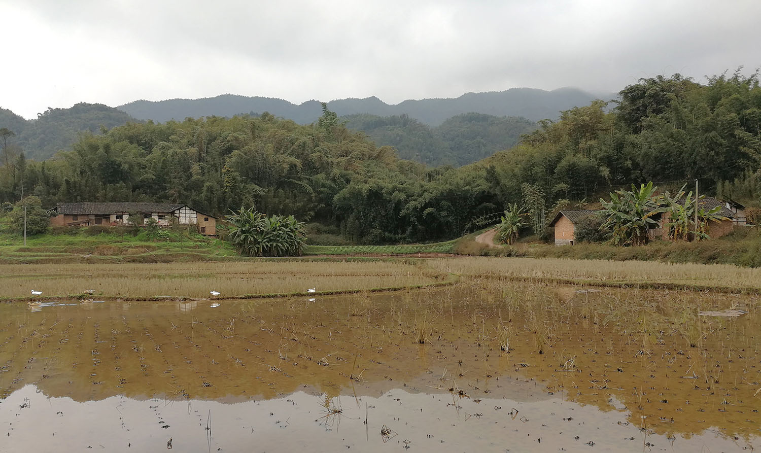 竹枝书院,宜宾竹枝书院,竹枝书院设计公司,建筑设计,宜宾建筑设计,竹枝书院设计,小隐建筑,小隐建筑事务所