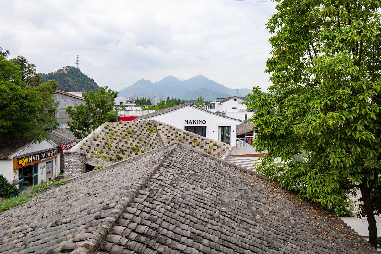 建筑设计,景观设计,景观改造,乡村建筑设计,乡村景观设计,建筑规划设计,山根之花,温州山根村建筑设计,谱观建筑,SpActrum