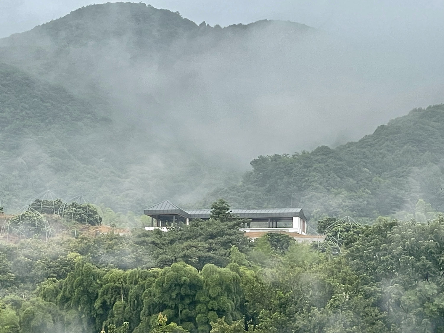 茶室设计,茶室改造,茶室设计案例,茶室设计方案,咖啡店设计,建筑改造,浙江余姚,四明山麓的杉野茶咖,杨楠,平介设计