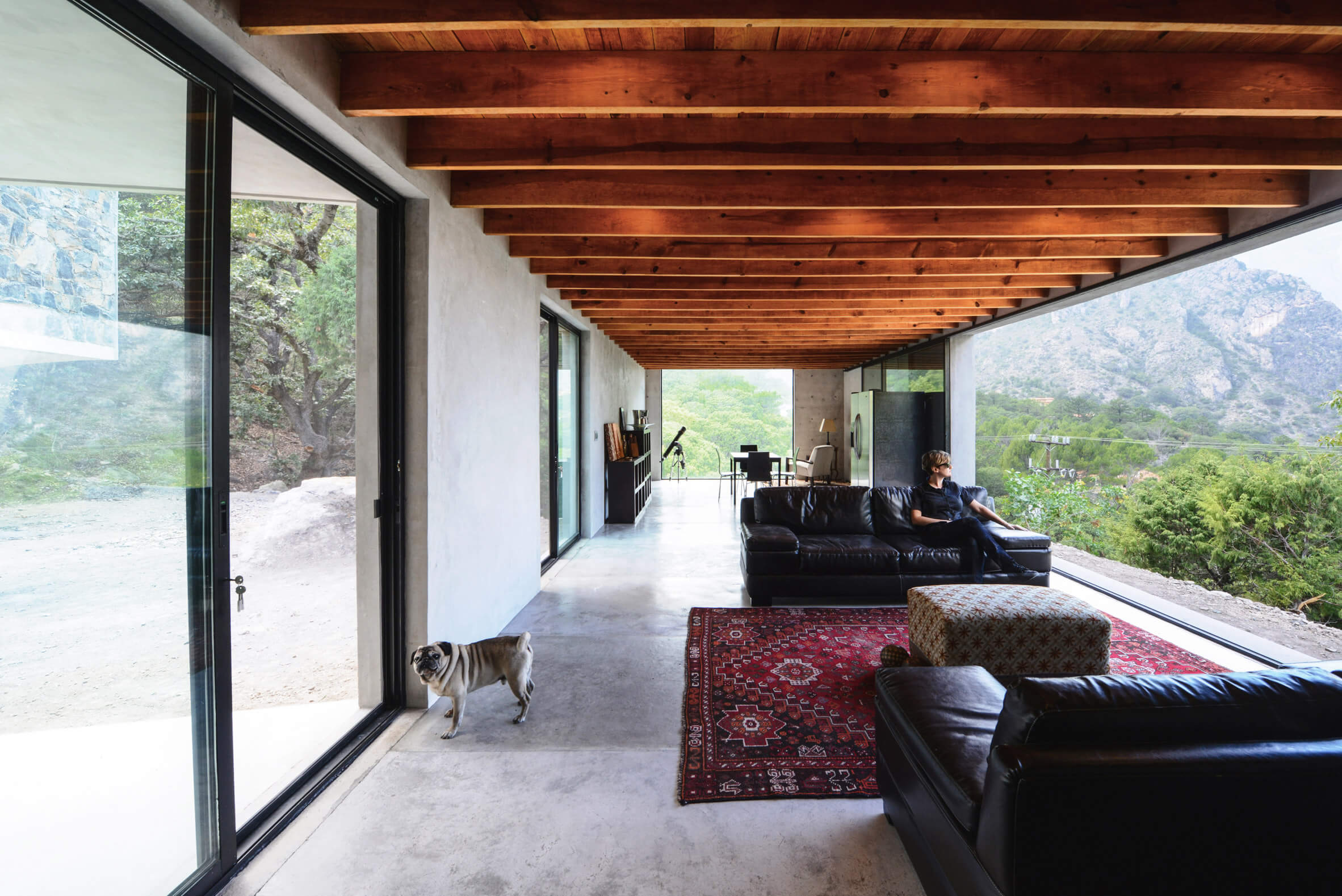 住宅空间，墨西哥，住宅设计，P+0 Arquitectura，Casa Bedolla住宅，现代风格