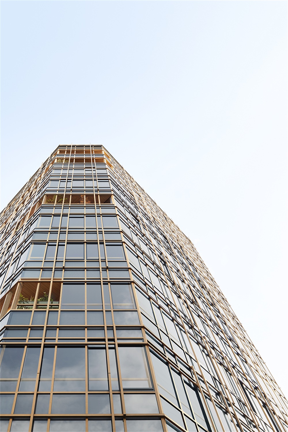 办公空间，东京，办公楼，Ikawaya Architects，Nendo