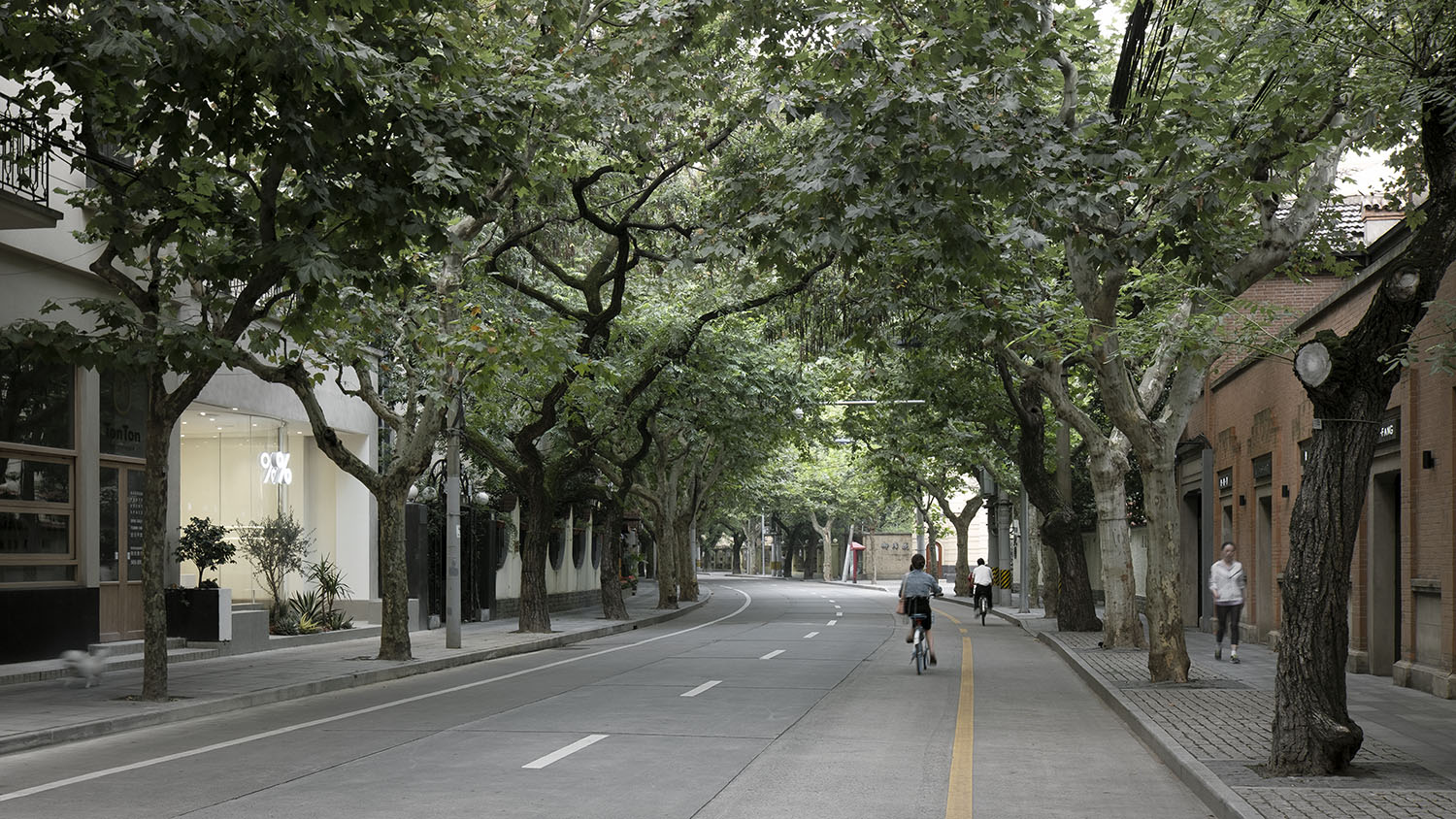 餐饮空间，咖啡厅设计，青山周平，B.L.U.E.建筑设计事务所，上海