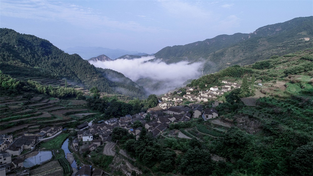 乡村建筑，民宿，浙江民宿设计，清啸山居，尌林建筑设计事务所，项目投稿