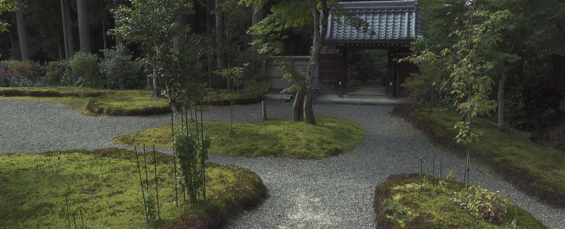 Wabi-Sabi-侘寂庭院,侘寂庭院,近江·孤篷庵,侘寂设计,孤篷庵,OUMI KOHOU,侘寂视频下载