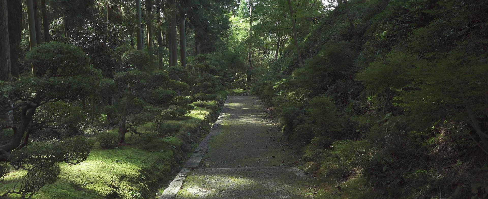 Wabi-Sabi-侘寂庭院,侘寂庭院,近江·孤篷庵,侘寂设计,孤篷庵,OUMI KOHOU,侘寂视频下载