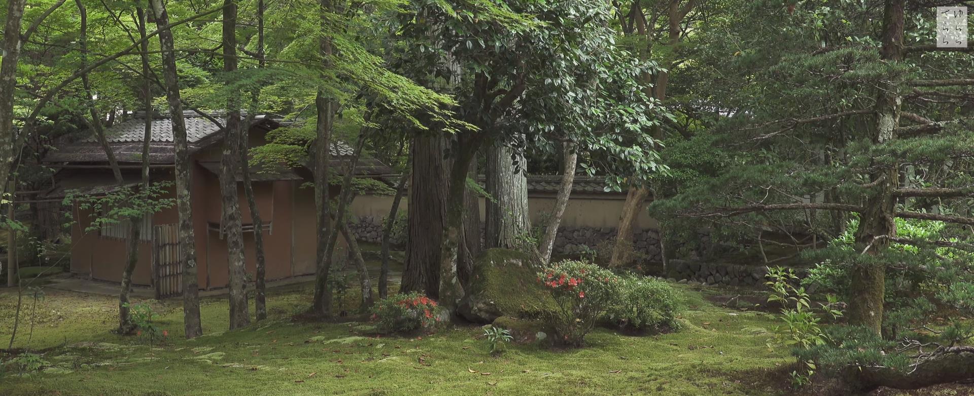 Wabi-Sabi-侘寂庭院,侘寂庭院,西芳寺,侘寂设计,禅院,枯山水,苔寺,MOSS TEMPLE SAIHOU,JI KOKE,侘寂视频下载,日式侘寂庭院