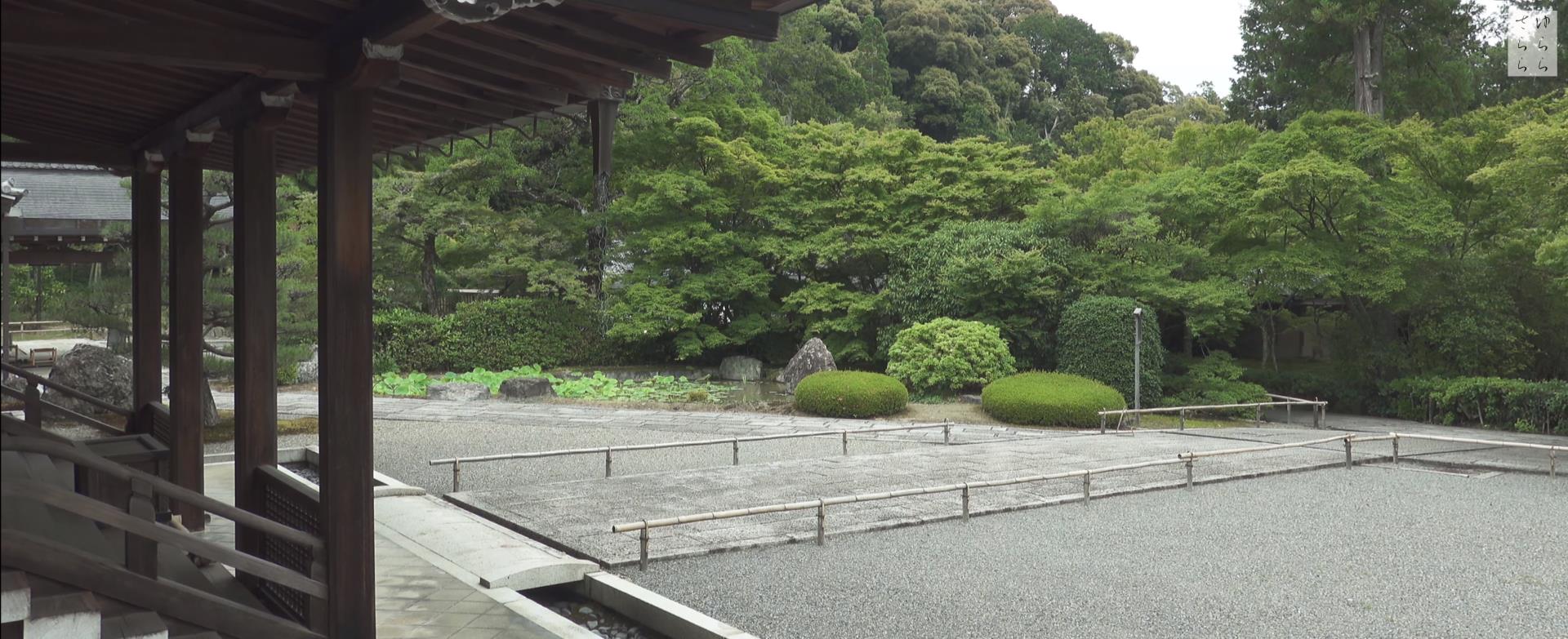 Wabi-Sabi-侘寂庭院,侘寂庭院,西芳寺,侘寂设计,禅院,枯山水,苔寺,MOSS TEMPLE SAIHOU,JI KOKE,侘寂视频下载,日式侘寂庭院