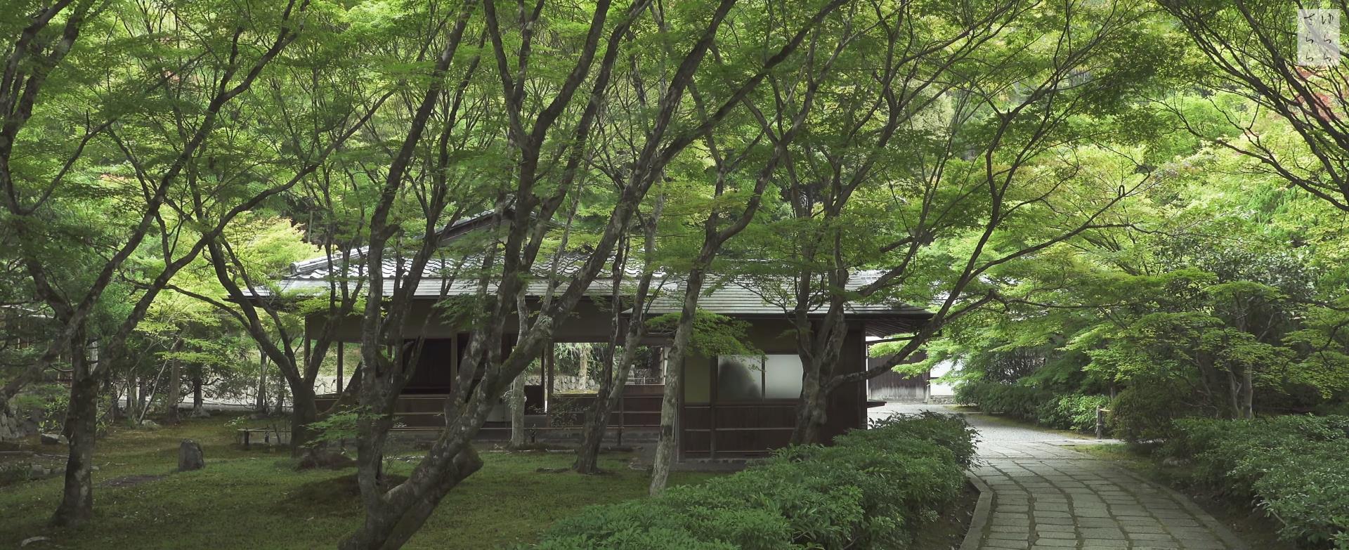 Wabi-Sabi-侘寂庭院,侘寂庭院,西芳寺,侘寂设计,禅院,枯山水,苔寺,MOSS TEMPLE SAIHOU,JI KOKE,侘寂视频下载,日式侘寂庭院