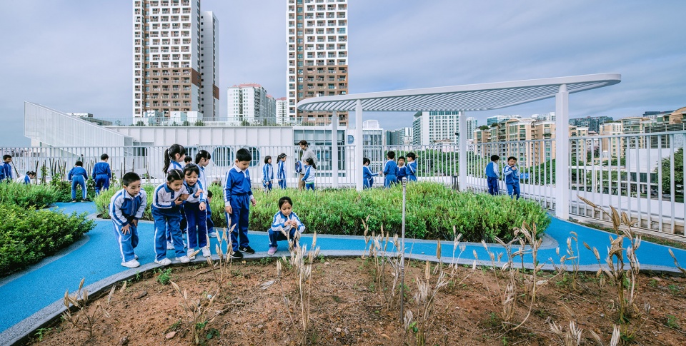 学校设计,小学设计,学校改造设计,校园设计,学校装修,学校设计案例,深圳福强小学,福强小学,深圳小学,深圳,深圳学校设计,众建筑,众建筑设计