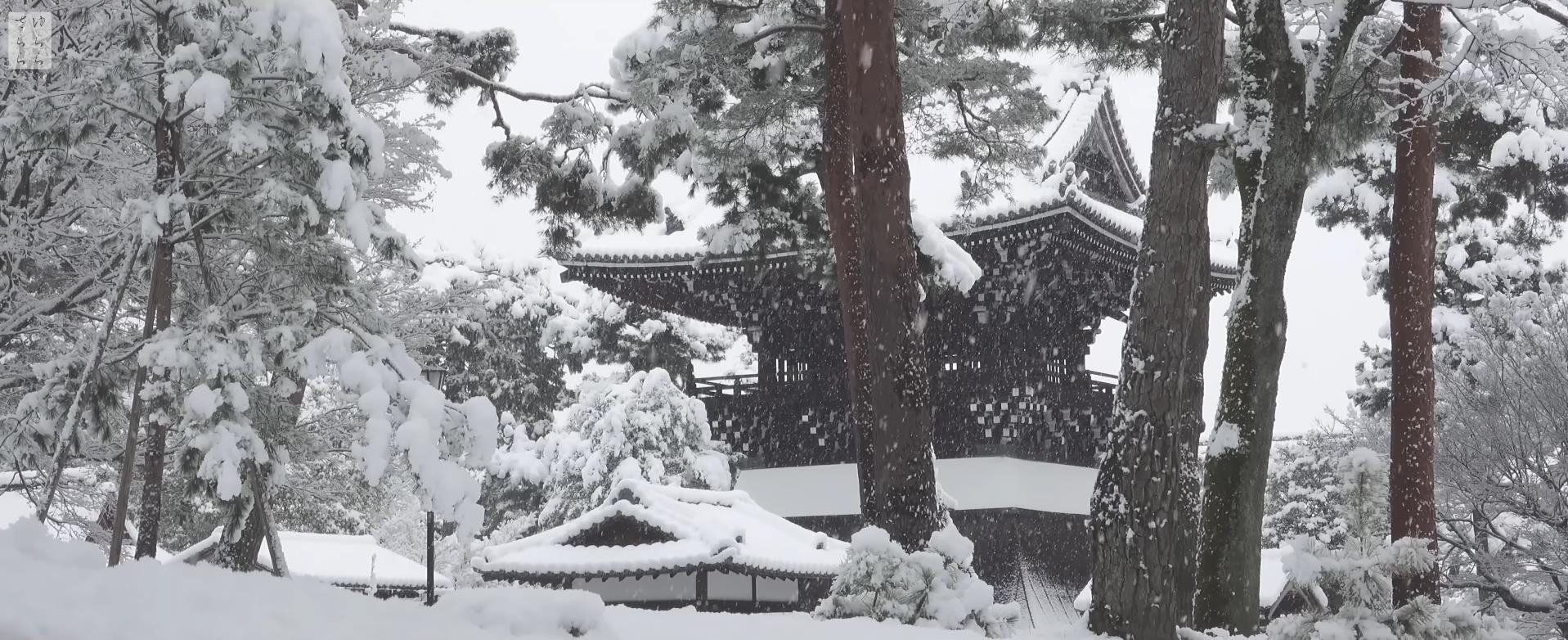 Wabi-Sabi-侘寂庭院,侘寂庭院,本法寺,侘寂设计,禅院,枯山水,苔寺,APANESE GARDEN,HONPO-JI,侘寂视频下载,日式侘寂庭院