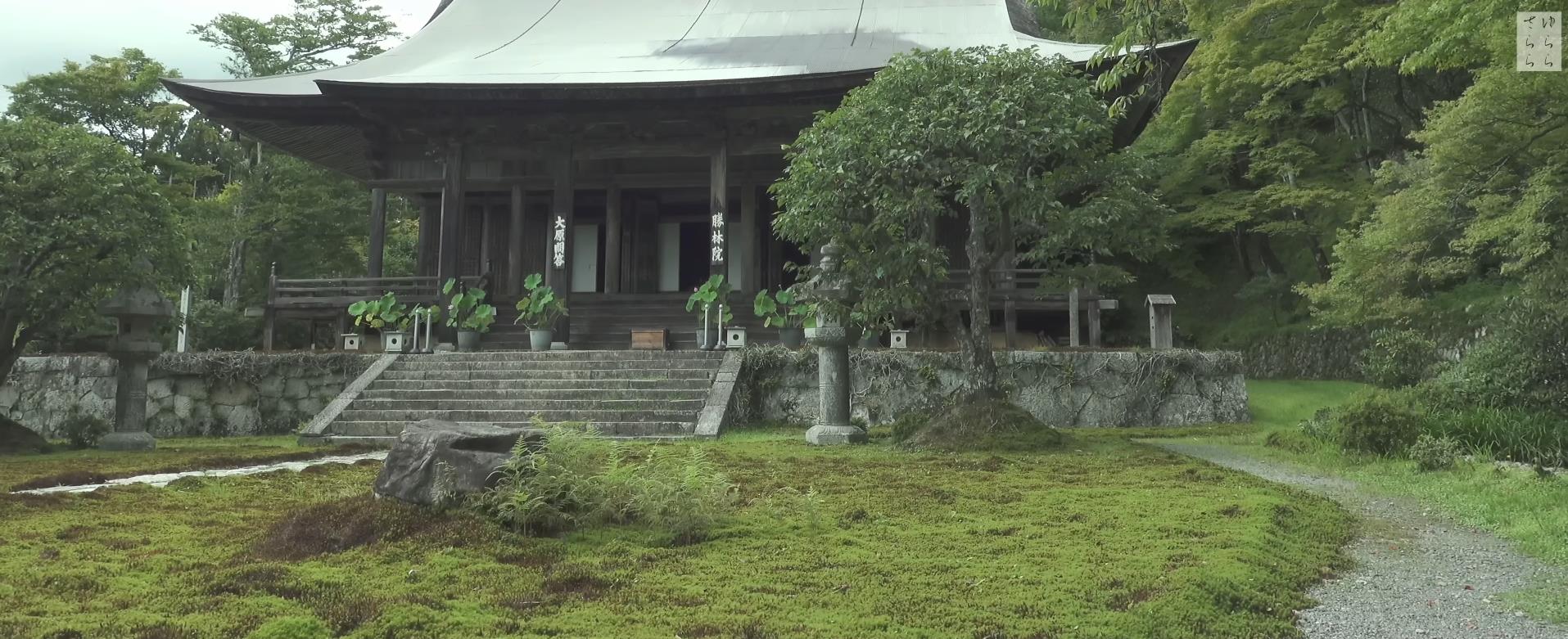 Wabi-Sabi-侘寂庭院,侘寂庭院,本法寺,侘寂设计,禅院,枯山水,苔寺,APANESE GARDEN,HONPO-JI,侘寂视频下载,日式侘寂庭院