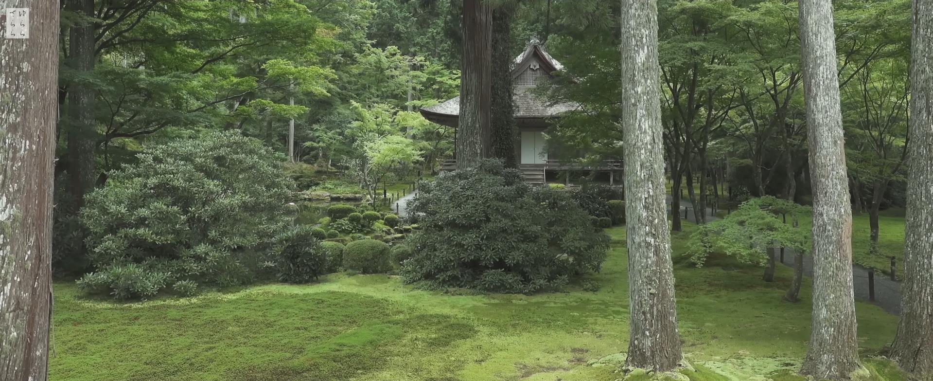 Wabi-Sabi-侘寂庭院,侘寂庭院,本法寺,侘寂设计,禅院,枯山水,苔寺,APANESE GARDEN,HONPO-JI,侘寂视频下载,日式侘寂庭院