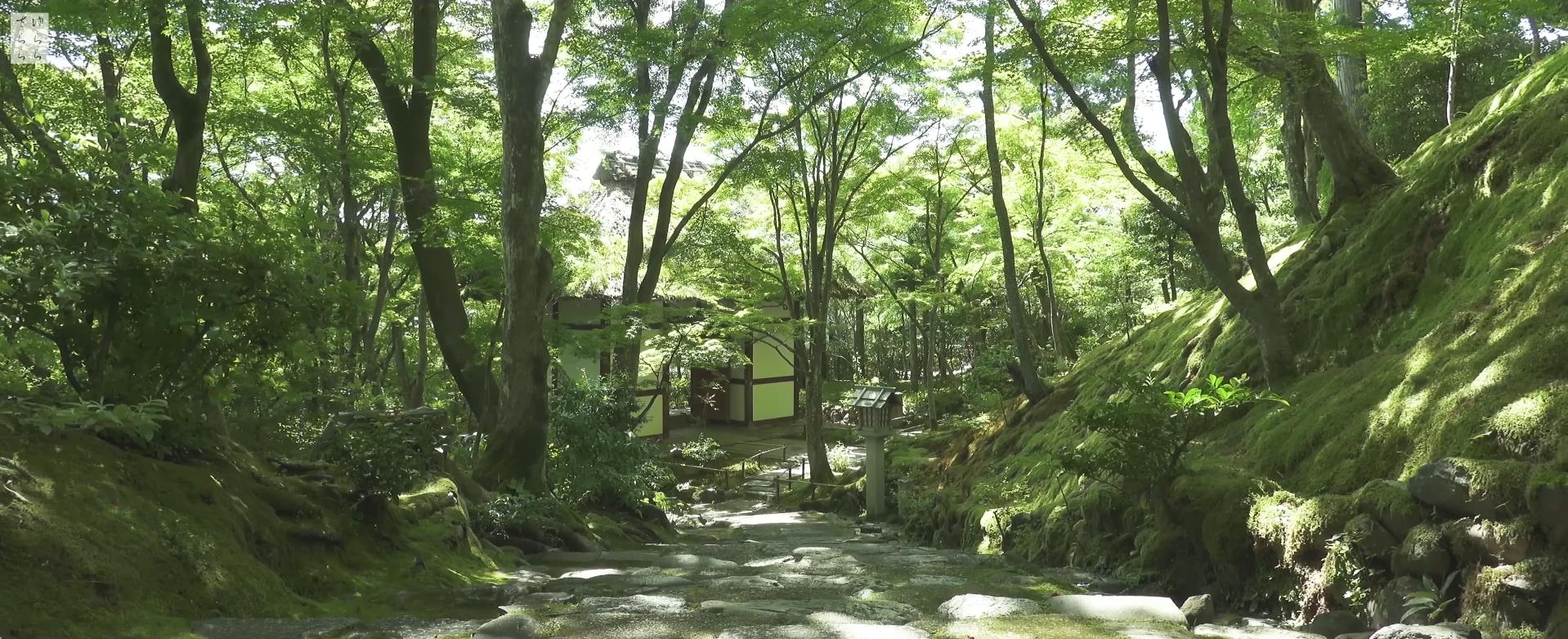 Wabi-Sabi-侘寂庭院,侘寂庭院,本法寺,侘寂设计,禅院,枯山水,苔寺,APANESE GARDEN,HONPO-JI,侘寂视频下载,日式侘寂庭院