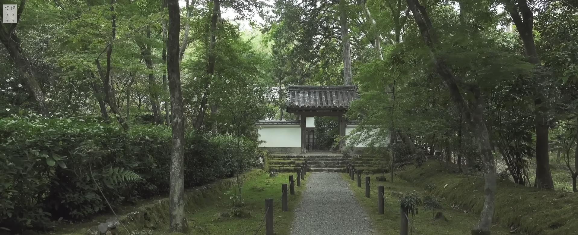 Wabi-Sabi-侘寂庭院,侘寂庭院,本法寺,侘寂设计,禅院,枯山水,苔寺,APANESE GARDEN,HONPO-JI,侘寂视频下载,日式侘寂庭院