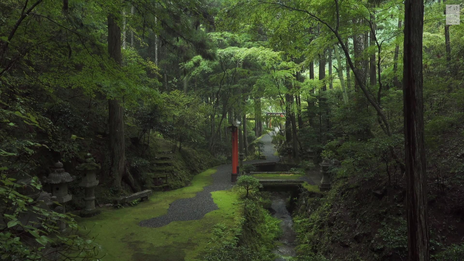 Wabi-Sabi-侘寂庭院,侘寂庭院,白龍園,侘寂设计,苔寺,HAKURYU-EN,侘寂视频下载,日式侘寂庭院