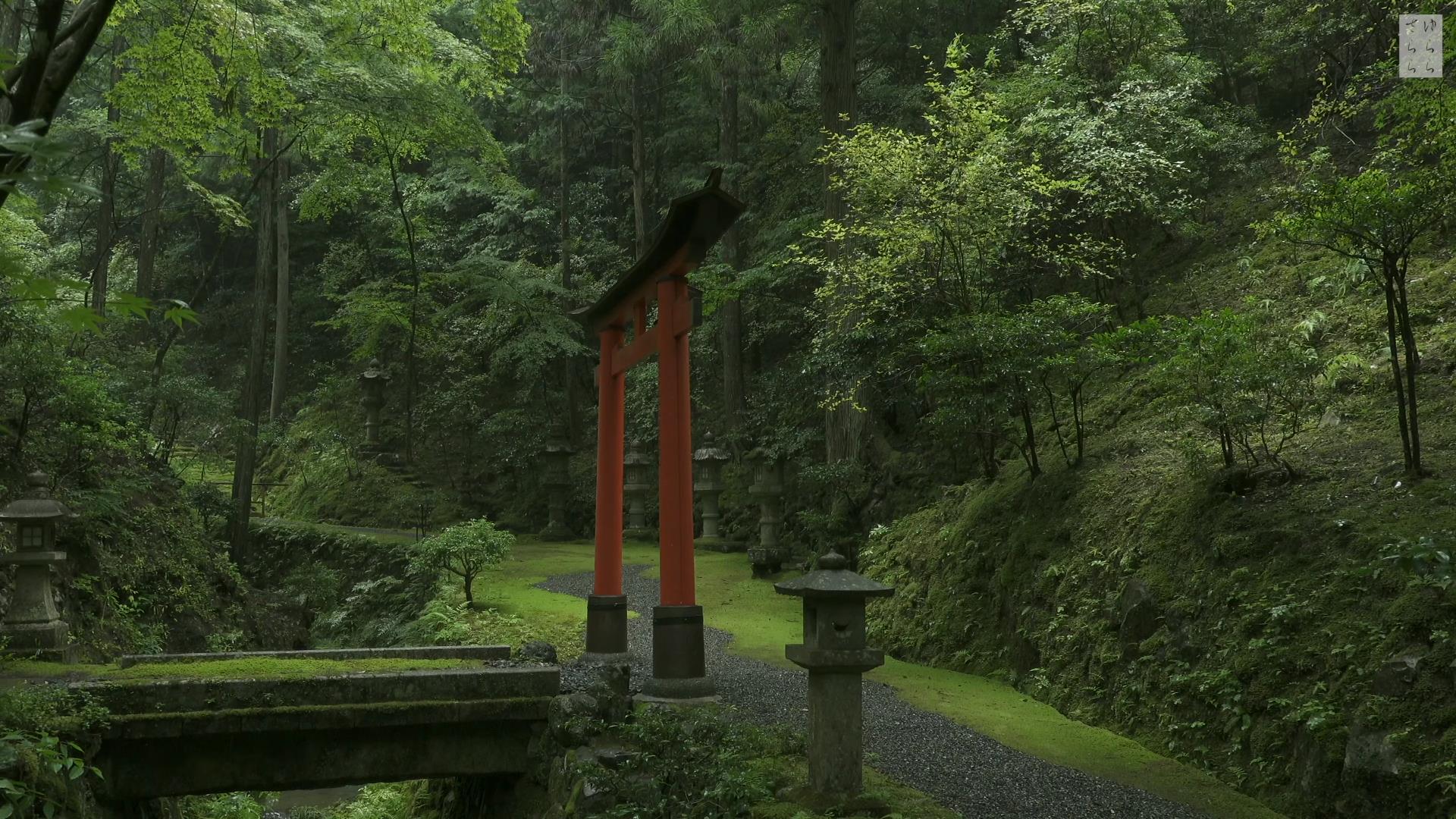 Wabi-Sabi-侘寂庭院,侘寂庭院,白龍園,侘寂设计,苔寺,HAKURYU-EN,侘寂视频下载,日式侘寂庭院