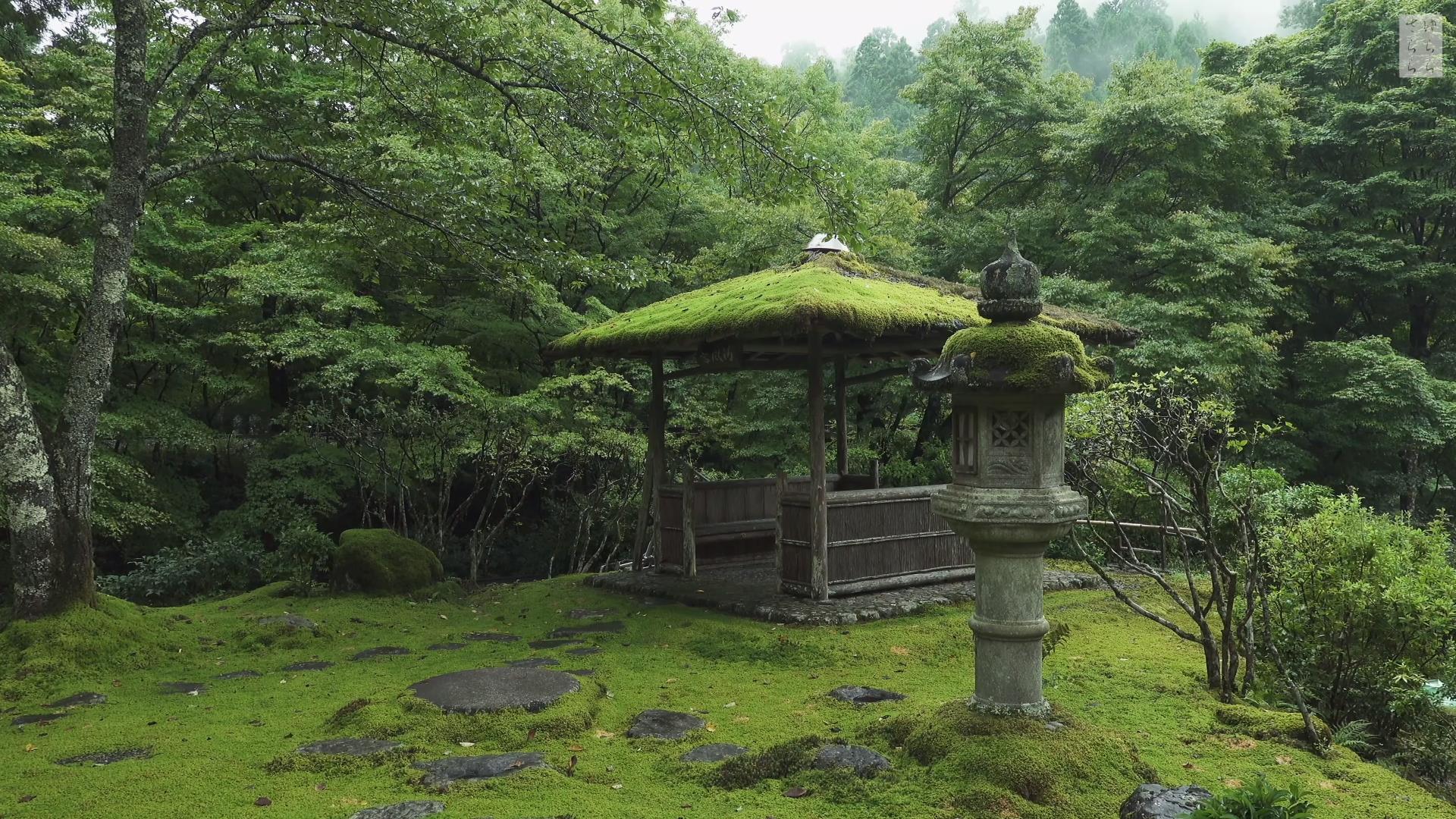 Wabi-Sabi-侘寂庭院,侘寂庭院,白龍園,侘寂设计,苔寺,HAKURYU-EN,侘寂视频下载,日式侘寂庭院