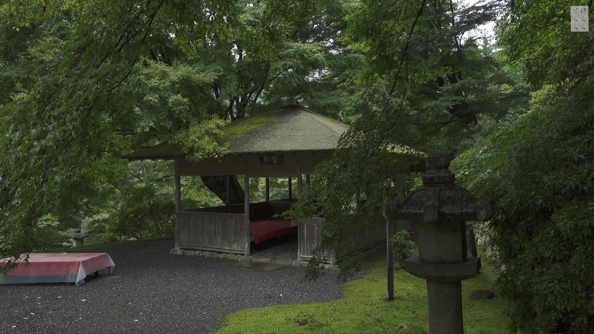 Wabi-Sabi-侘寂庭院,侘寂庭院,白龍園,侘寂设计,苔寺,HAKURYU-EN,侘寂视频下载,日式侘寂庭院