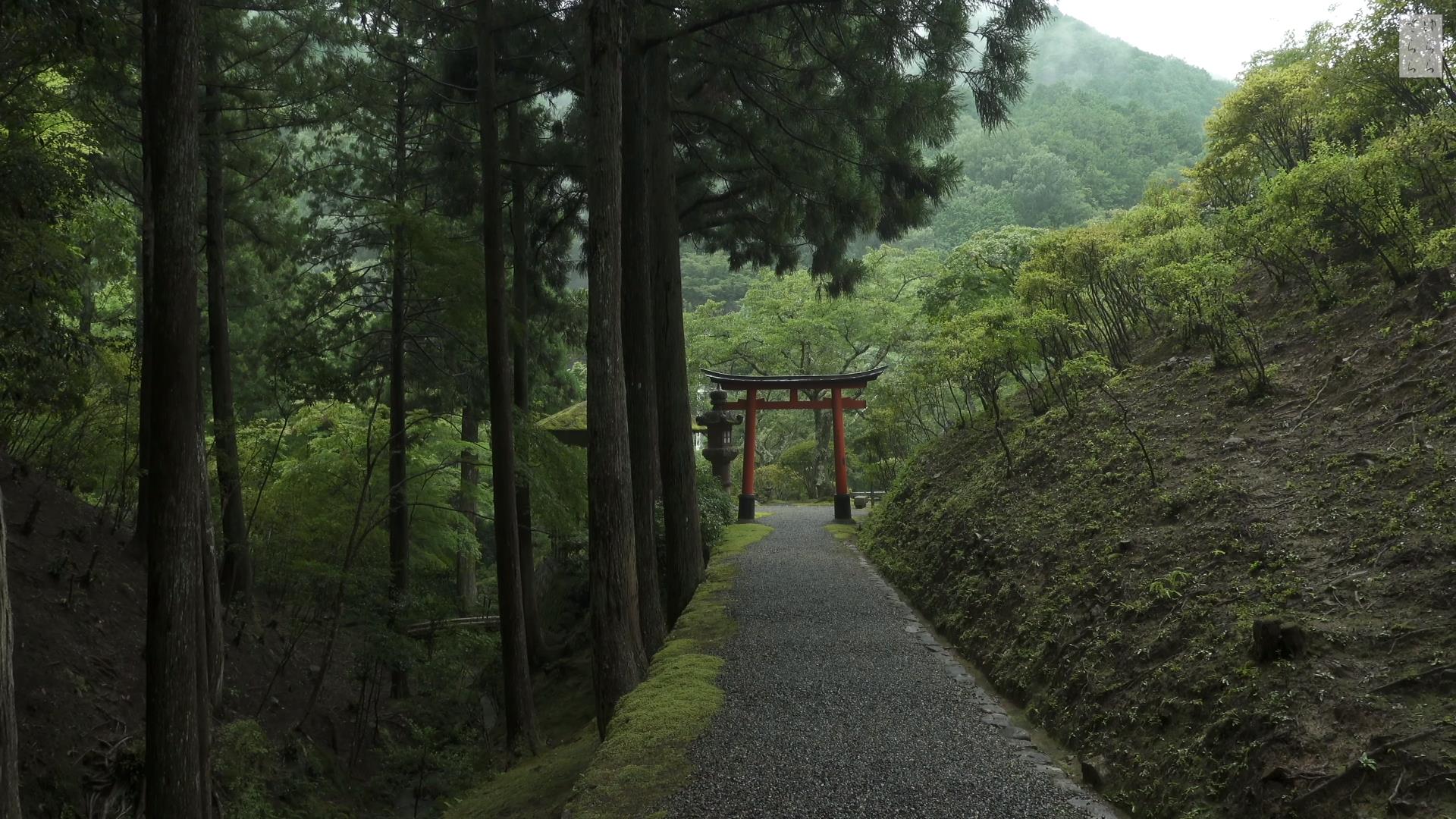 Wabi-Sabi-侘寂庭院,侘寂庭院,白龍園,侘寂设计,苔寺,HAKURYU-EN,侘寂视频下载,日式侘寂庭院