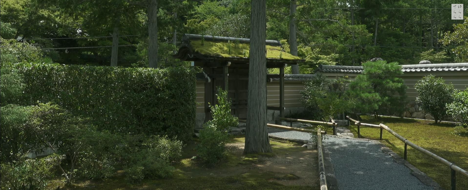 Wabi-Sabi-侘寂庭院,侘寂庭院,京都,侘寂设计,侘寂视频下载,日式侘寂庭院