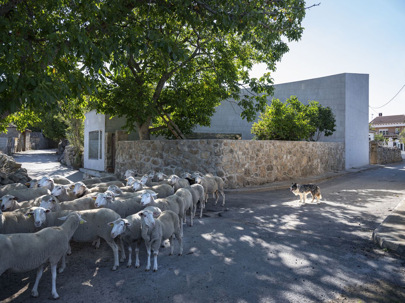 Raúl Almenara,西班牙,住宅设计,国外住宅设计案例,极简风格,庭院住宅,独栋住宅,140㎡,乡村住宅设计