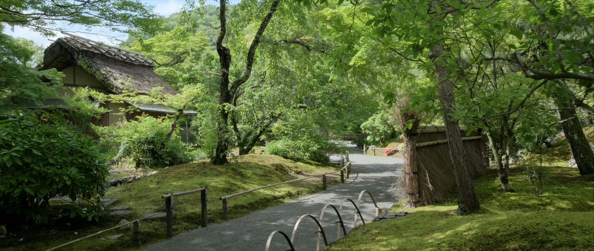 Wabi-Sabi-侘寂庭院,侘寂庭院,京都,侘寂设计,侘寂视频下载,日式侘寂庭院