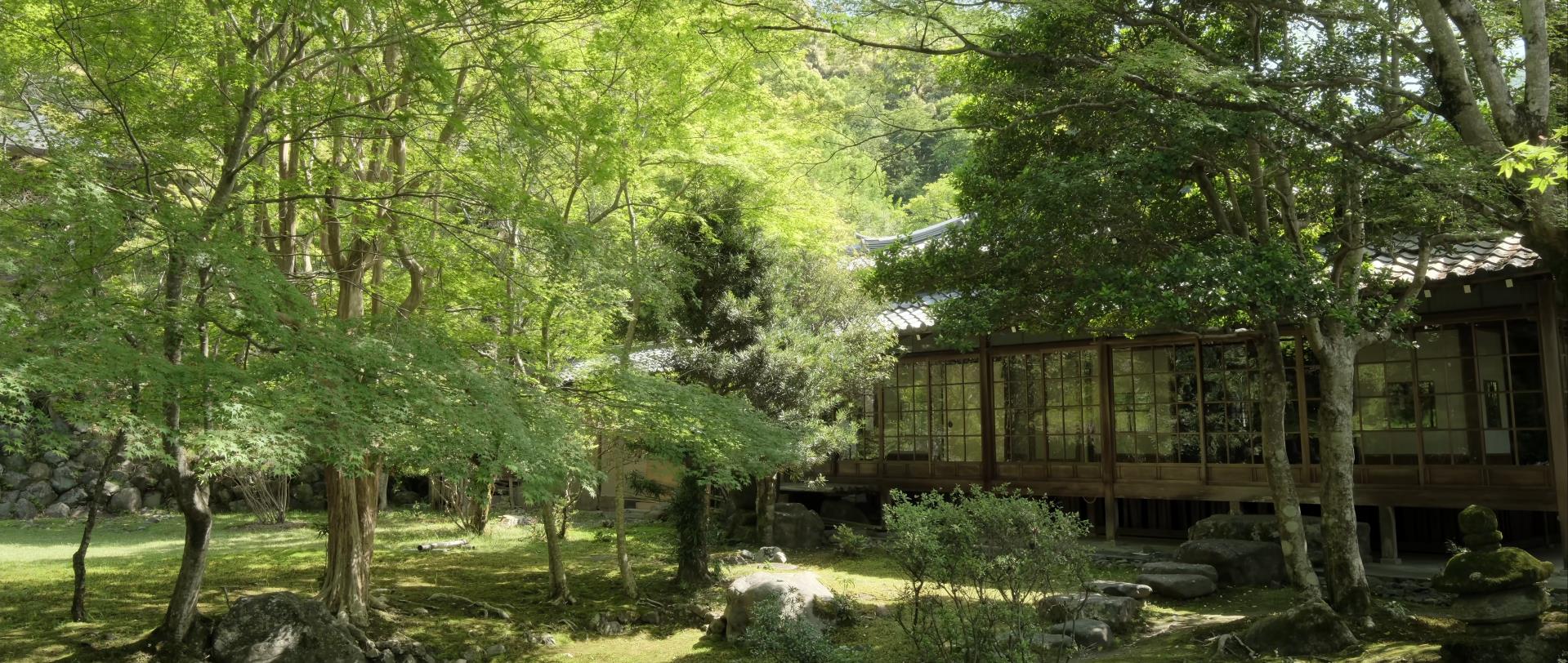 Wabi-Sabi-侘寂庭院,侘寂庭院,京都,侘寂设计,侘寂视频下载,日式侘寂庭院