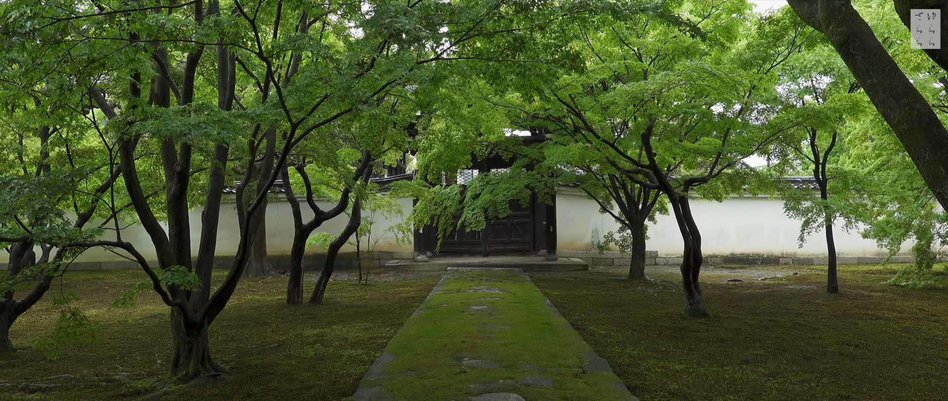 Wabi-Sabi-侘寂庭院,侘寂庭院,日本,侘寂设计,侘寂视频下载,日式侘寂庭院