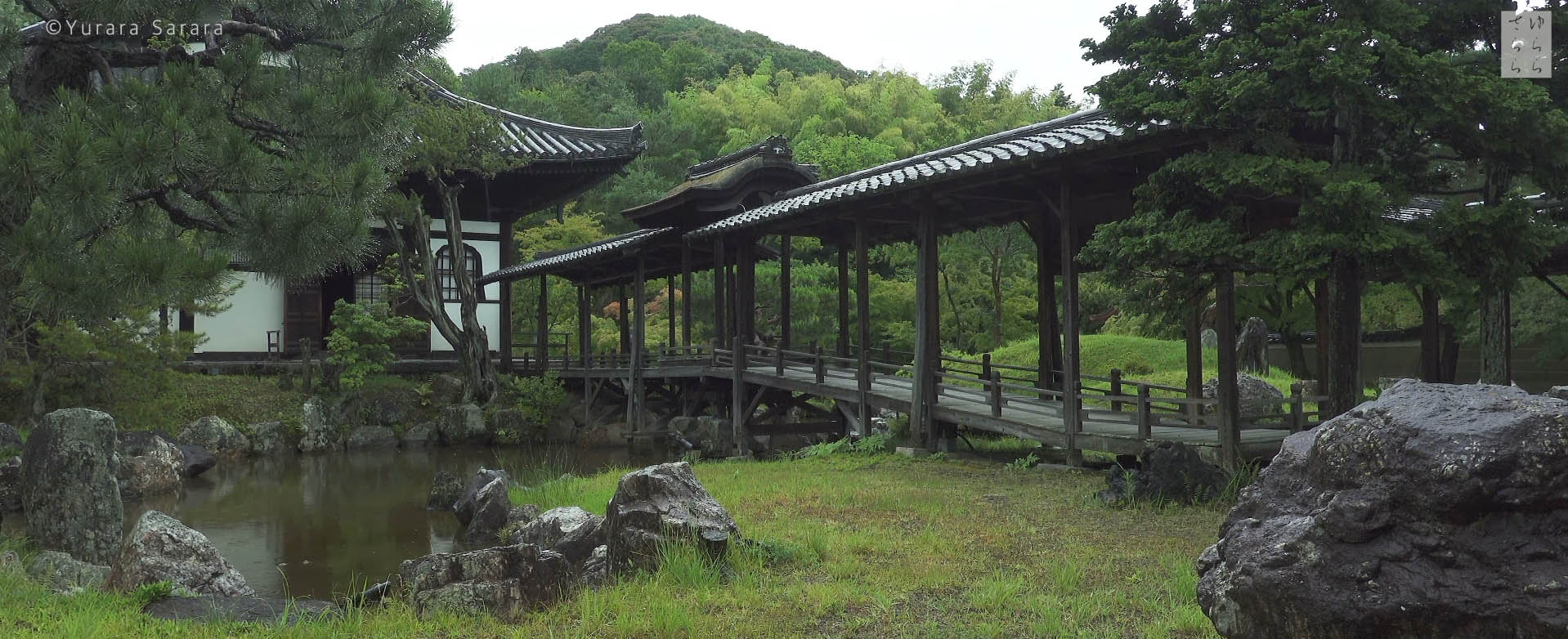 Wabi-Sabi-侘寂庭院,侘寂庭院,日本,侘寂设计,侘寂视频下载,日式侘寂庭院