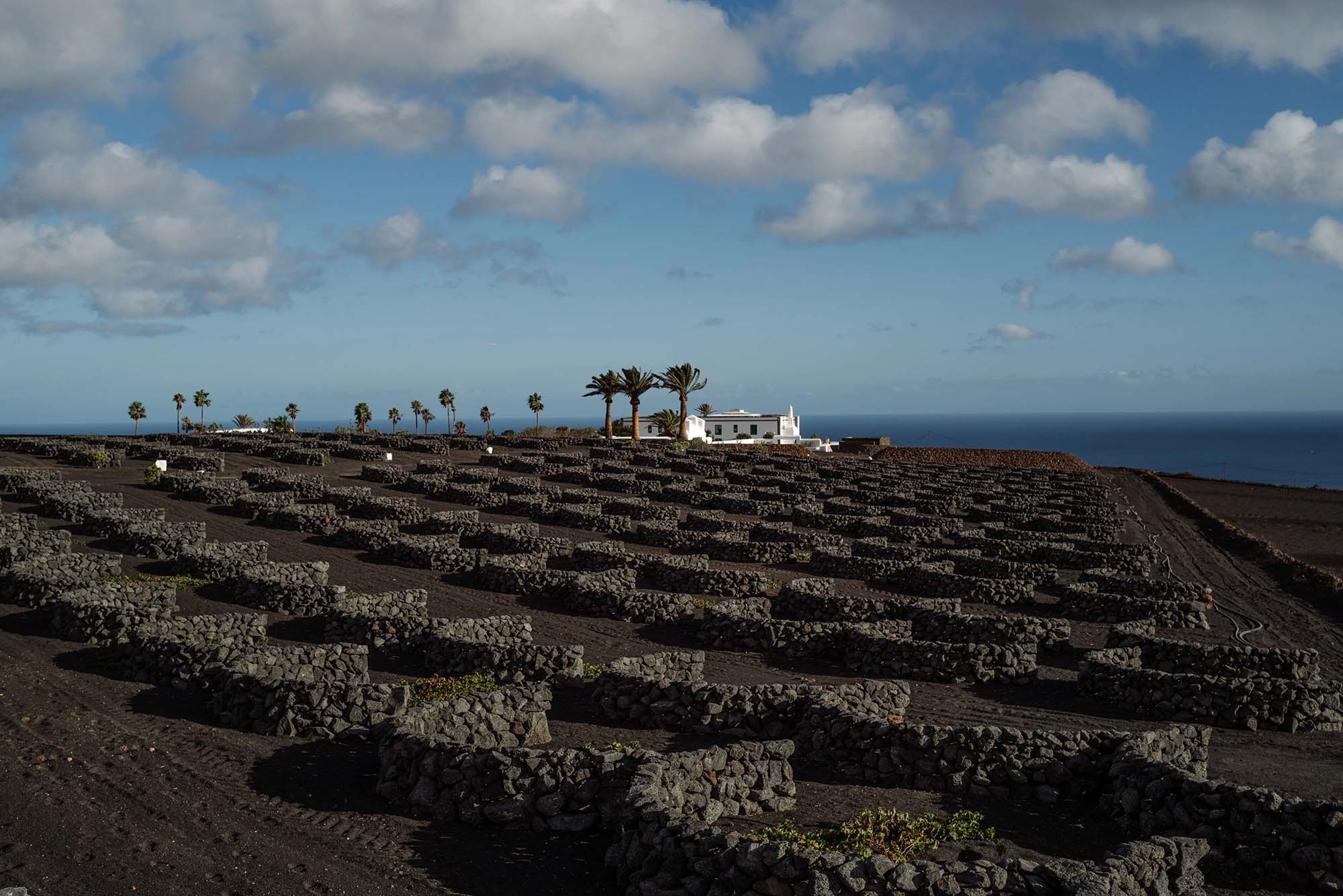 Virginia Nieto,酒店设计,César Lanzarote Hotel,酒店设计案例,酒店设计方案,海景度假酒店,西班牙,大加那利